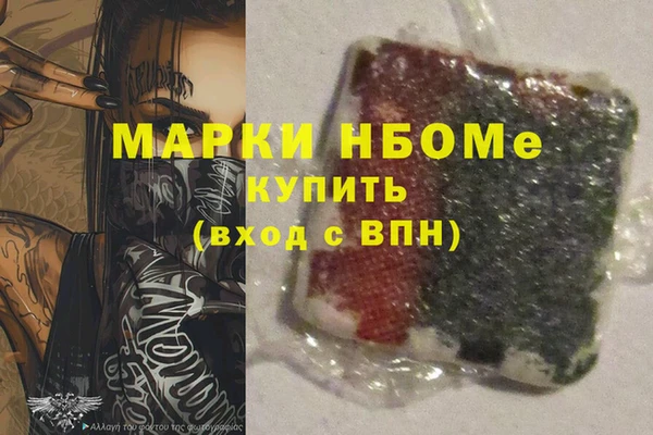 СК Алексин