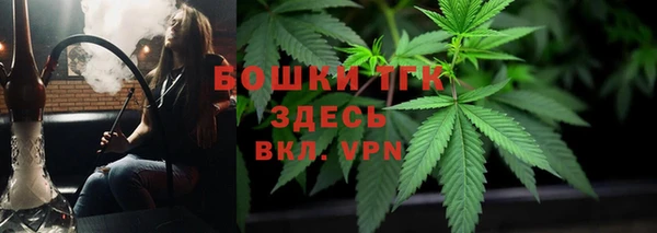 СК Алексин