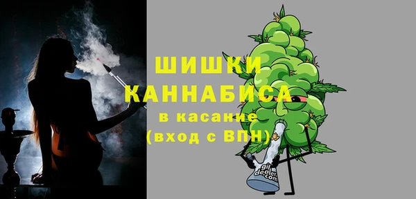 стаф Абаза