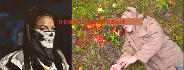 спайс Алексеевка