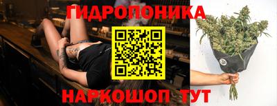 тгк Славянск-на-Кубани