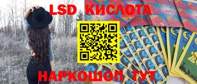 мяу мяу мука Ставрополь