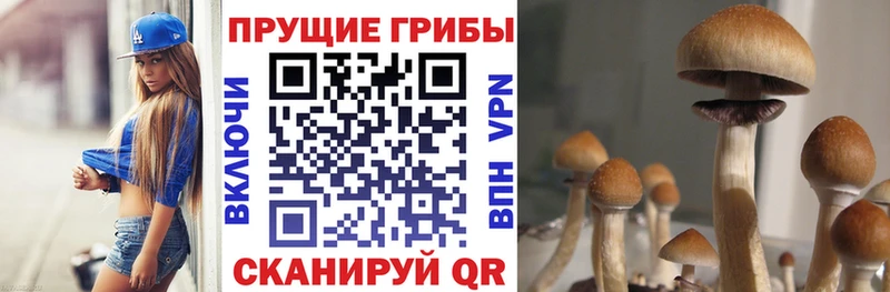 Псилоцибиновые грибы MAGIC MUSHROOMS  Карабулак 