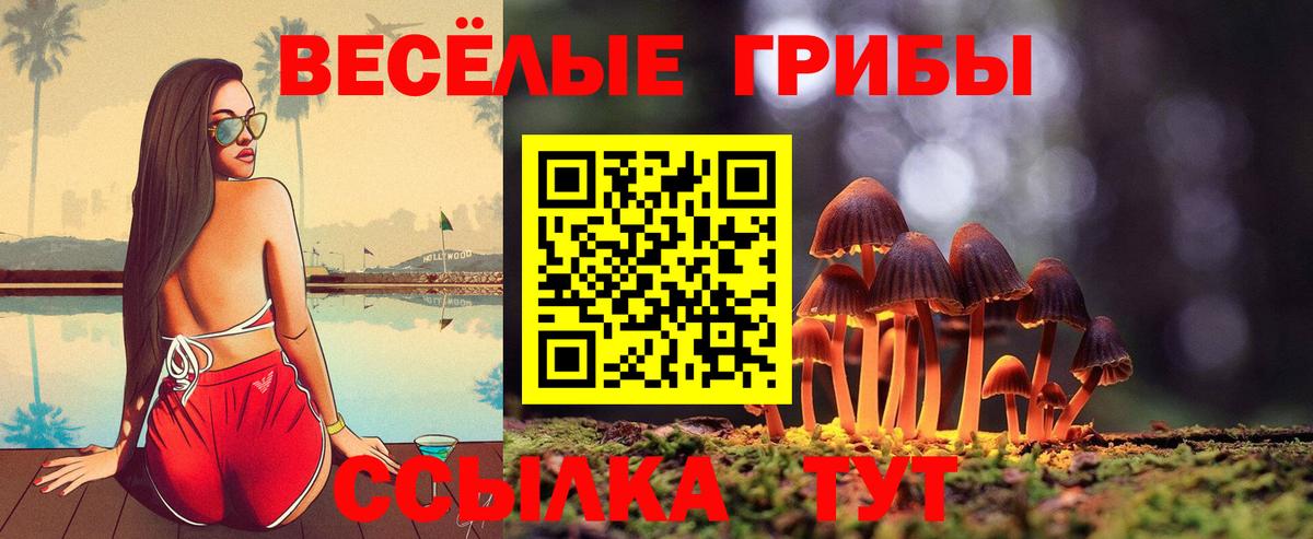 Псилоцибиновые грибы Psilocybine cubensis  Вход с VPN  Карабулак 